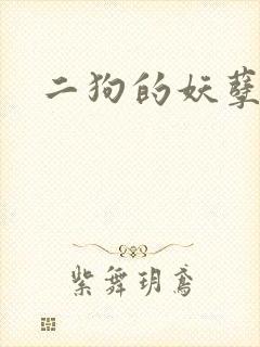 二狗的妖孽人生