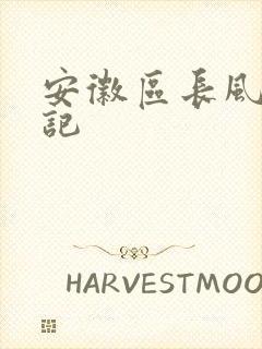 安徽区长风流日记