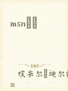 msnС˵