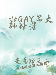 壮GAY吊大人帅精浓