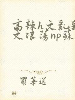 高辣h文乱乳h文浪荡np苏夏