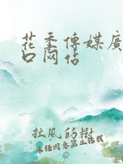 花季传媒广告入口网站