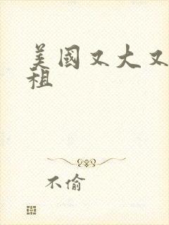 美国又大又长又租