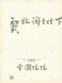 知北游txt下载