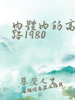 肉体内的高速公路1980