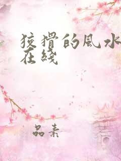 狡猾的风水相师在线