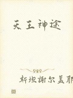 天王神途