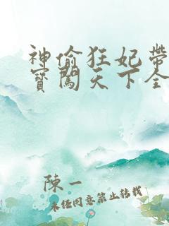 神偷狂妃带着宝宝闯天下全文免费阅读