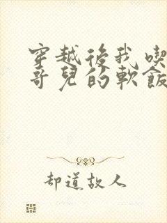 穿越后我吃到了哥儿的软饭炉山灰