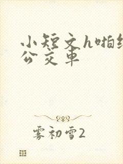 小短文h啪纯肉公交车