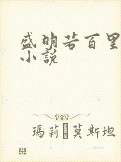 盛明若百里轻尘小说
