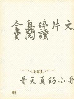 全息碎片文轩免费阅读