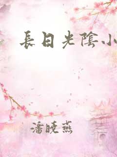 长日光阴小说