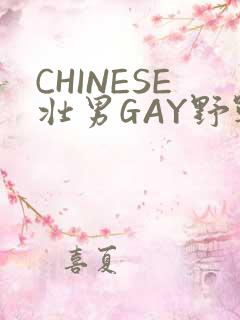 CHINESE壮男GAY野战强迫TUBE