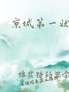 京城第一状师