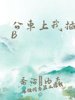 公车上我插上骚B