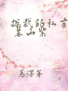 总裁的私有宝贝 暮山紫