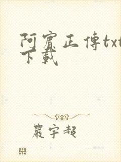 阿宾正传txt下载