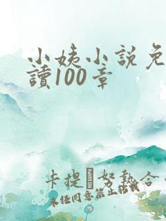 小姨小说免费阅读100章