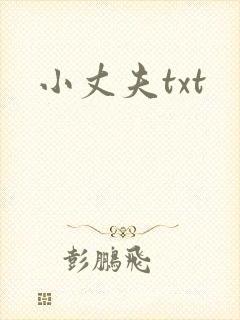 小丈夫txt