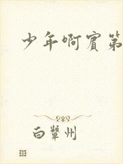 少年啊宾第二部