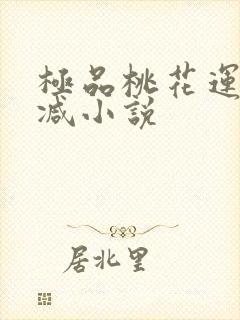 极品桃花运未删减小说