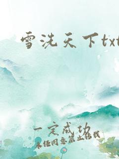雪洗天下txt