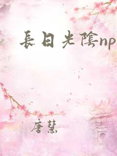 长日光阴np