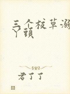 三个校草溺爱拽丫头