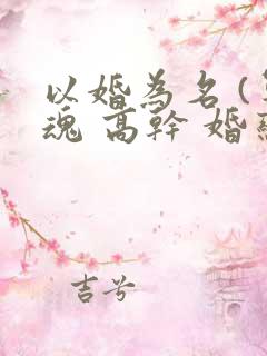 以婚为名 (军魂 高干 婚恋)