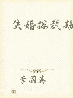 失婚总裁劫前妻