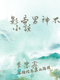 影帝男神不节制 小说