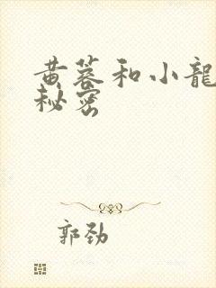 黄蓉和小龙女的秘密