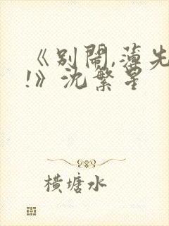 《别闹,薄先生!》沈繁星