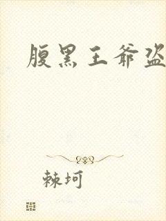 腹黑王爷盗墓妃