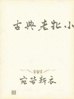 古典老牝小说