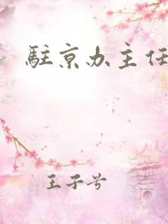 驻京办主任对手