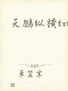天鹏纵横txt