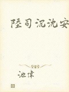 陆司沉沈安