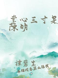 掌心三寸是人间陈明