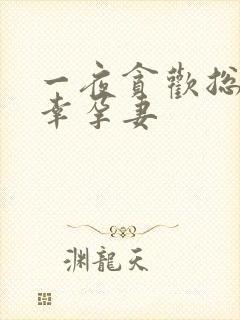 一夜贪欢总裁的幸孕妻