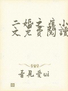 二婚之痒小说全文免费阅读