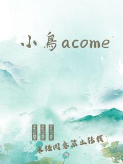小鸟acome