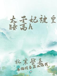 太子妃被皇上强睡高h