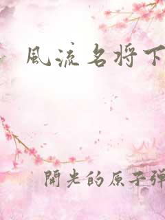 风流名将下载