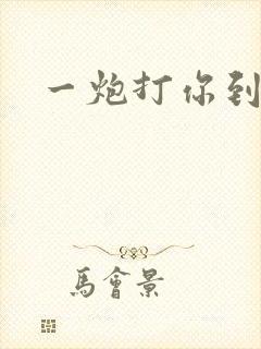 一炮打你到天亮