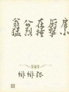 翁公在厨房和我猛烈撞击小说