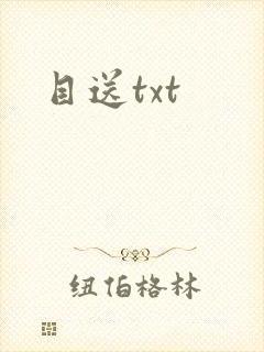 目送txt