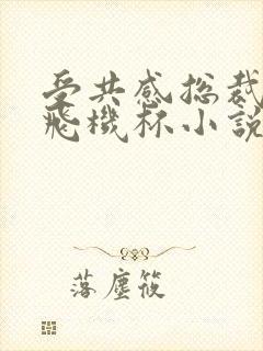 受共感总裁攻的飞机杯小说叫什么