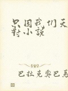 只因我们天生一对小说